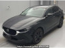 Used 2023 AT mazda cx-30 DM8P Image[0]