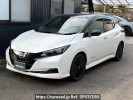 Nissan Leaf ZE1