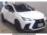 Used 2024 AT lexus nx AAZH20 Image[0]