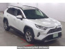Used 2019 AT toyota rav4 MXAA54 Image[0]
