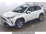 Used 2019 AT toyota rav4 MXAA54 Image[2]