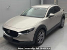 Mazda CX-30 DM8P