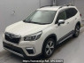 Used 2019 AT subaru forester SKE Image[0]