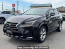 Lexus NX AYZ15