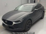 Used 2023 AT mazda cx-30 DM8P Image[0]
