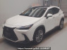 Used 2023 AT lexus nx AAZH20 Image[0]