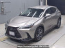 Used 2022 AT lexus nx AAZH20 Image[0]