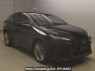 Used 2023 AT lexus nx AAZH20 Image[2]