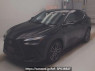 Used 2023 AT lexus nx AAZH25 Image[0]