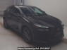Used 2023 AT lexus nx AAZH25 Image[2]