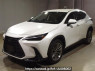 Used 2023 AT lexus nx AAZH20 Image[0]