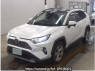 Used 2020 AT toyota rav4 MXAA54 Image[1]