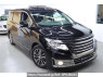 Used 2019 AT nissan elgrand PNE52 Image[0]