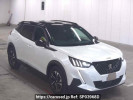 Peugeot 2008 P24HN05