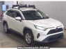 Used 2019 AT toyota rav4 MXAA52 Image[0]