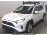 Used 2019 AT toyota rav4 MXAA52 Image[1]