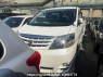 Used 2007 AT toyota alphard ANH10W Image[1]