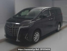 Toyota Alphard Hybrid AYH30W