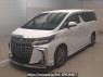 Used 2019 AT toyota alphard-hybrid AYH30W Image[0]
