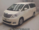 Toyota Alphard ANH20W