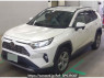Used 2019 AT toyota rav4 MXAA54 Image[0]