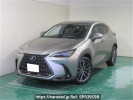 Lexus NX AAZH20