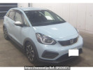 Honda Fit GR5