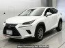 Used 2019 AT lexus nx AGZ10 Image[0]