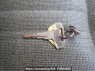 Used 1988 MT mitsubishi canter FE435F Image[21]