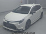 Used 2019 AT toyota corolla-touring-wagon ZWE211W Image[0]