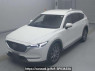 Used 2019 AT mazda cx-8 KG2P Image[0]