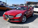 Mercedes Benz SLK Class 172448