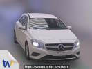 Mercedes Benz A-Class 176042