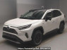 Used 2020 AT toyota rav4 AXAH54 Image[0]