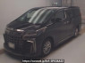 Used 2023 AT toyota alphard-hybrid AYH30W Image[0]