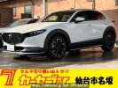 Mazda CX-30 DMEP