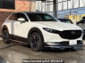 Used 2022 AT mazda cx-30 DMEP Image[2]