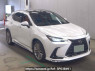 Used 2023 AT lexus nx AAZA20 Image[0]