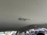 Used 2015 AT subaru impreza-sports GP3 Image[16]