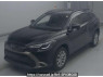 Used 2023 AT toyota corolla-cross ZSG10 Image[0]