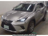 Used 2019 AT lexus nx AGZ15 Image[0]