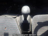 Used 1993 MT mitsubishi canter-guts FB308B Image[19]