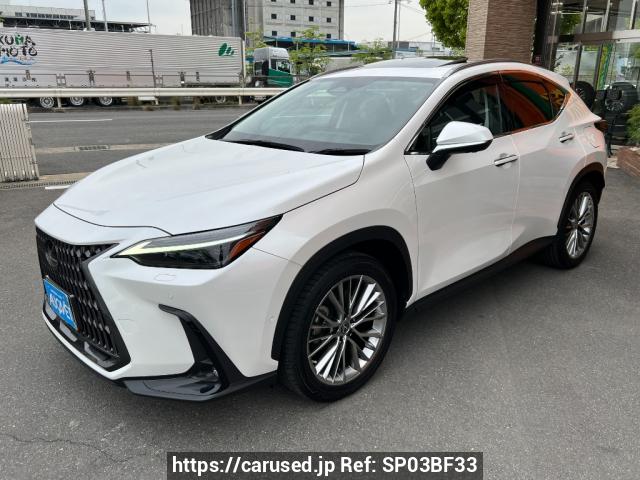 Buy Used 2023 Lexus NX AAZH25 (SP03BF33) - Carused.jp