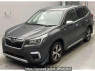 Used 2019 AT subaru forester SKE Image[0]