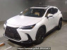 Used 2023 AT lexus nx AAZH20 Image[0]