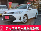 Toyota Corolla Fielder NKE165G