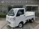 Daihatsu Hijet Truck S500P