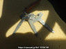 Used 1997 MT mitsubishi canter FE517BD Image[31]