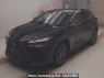 Used 2024 AT lexus nx AAZH20 Image[0]