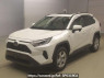 Used 2019 AT toyota rav4 AXAH52 Image[0]